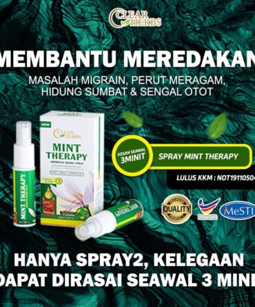 MINT THERAPY